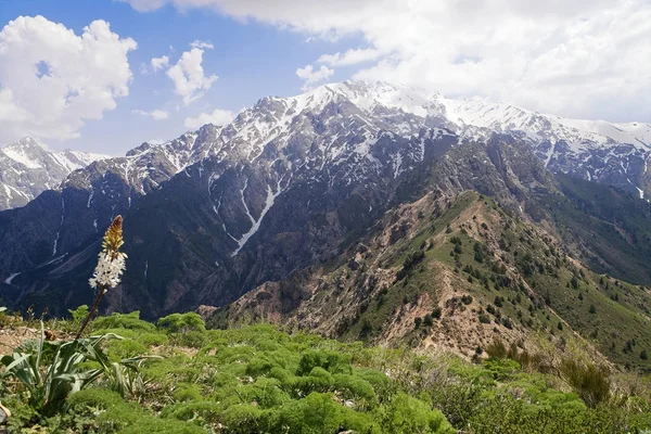 Чимганские горы — стоковое фото
