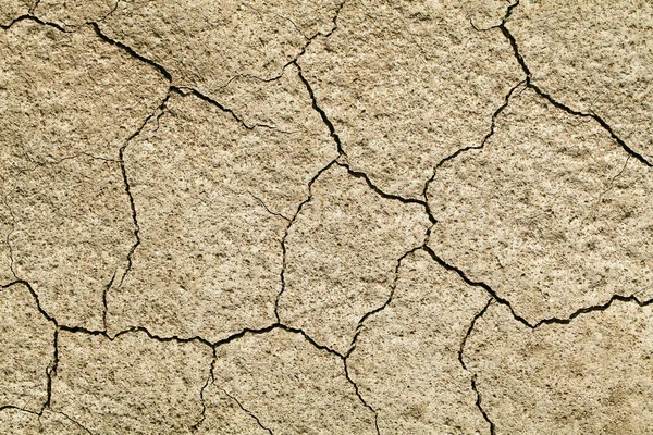 Cracked earth close-up — Stock Photo, Image