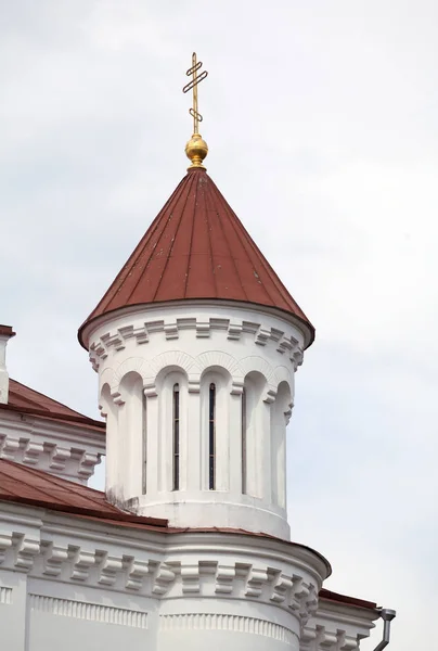 Cattedrale della Theotokos a Vilnius — Foto Stock