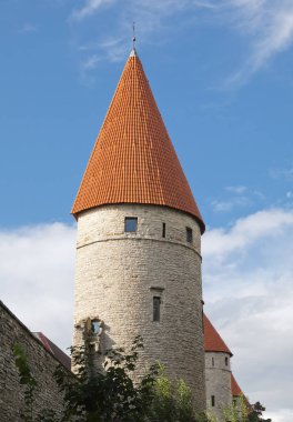 Ortaçağ kulesinde: tallinn