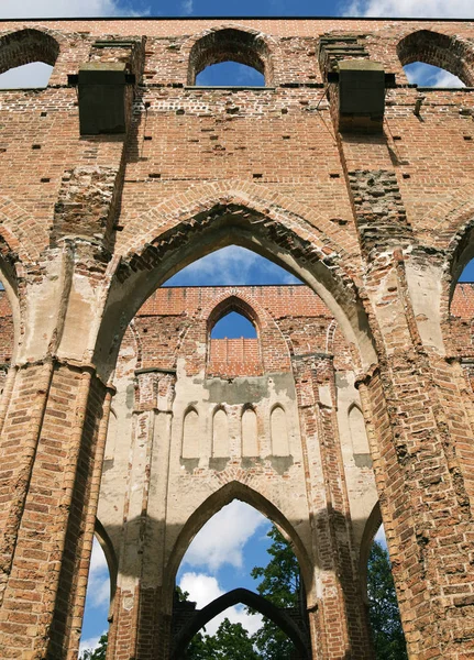 Ruines katedry w Tartu — Zdjęcie stockowe