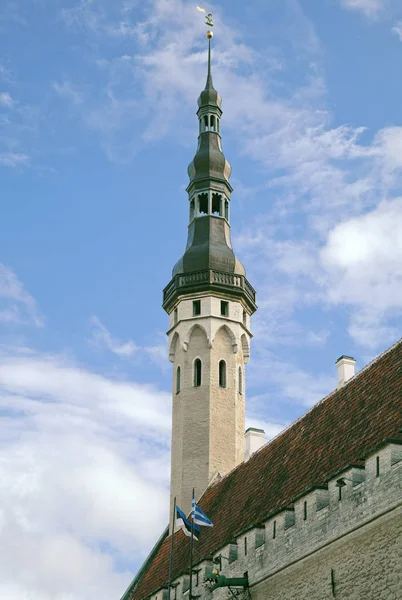 Stadhuis van Tallinn — Stockfoto