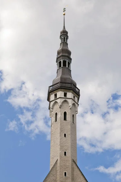 Spire of Tallinn prefeitura — Fotografia de Stock