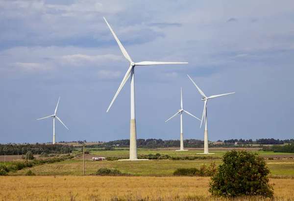 Wind generators in a field — Stock Photo, Image