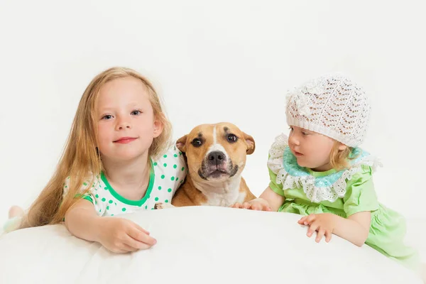 Two little girls and dog — Stock Photo, Image