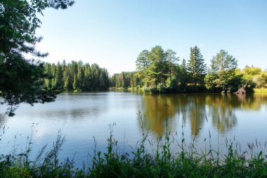 Ahşap ve nehrin güzel manzara
