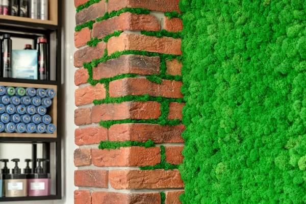Τοίχος Τούβλο Διακοσμητικά Πράσινα Βρύα Και Ράφι Στο Παρασκήνιο — Φωτογραφία Αρχείου