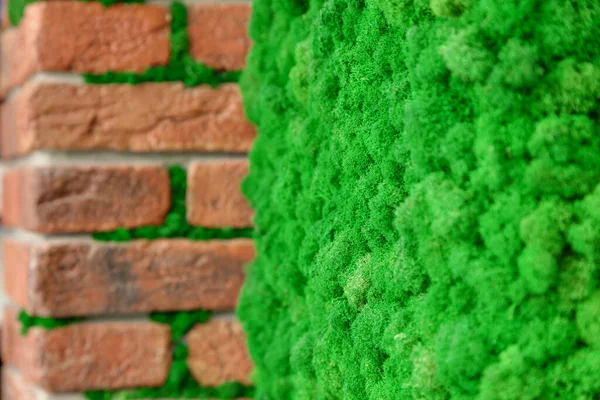 Brick Wall Decorative Green Moss Close Decorative Floral Background — Stock Photo, Image