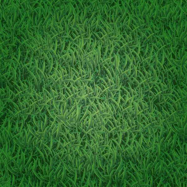 Grass Seamless Pattern — Stock Vector