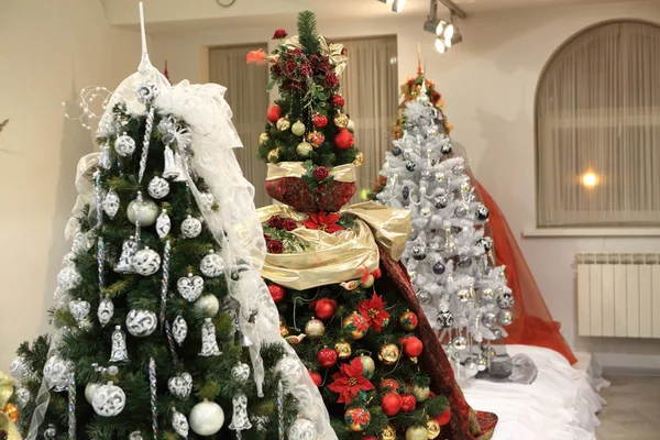 Tre alberi di Natale — Foto Stock