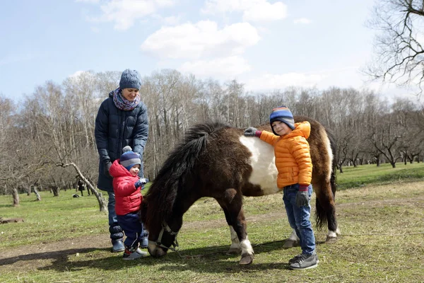 Familia con pony —  Fotos de Stock