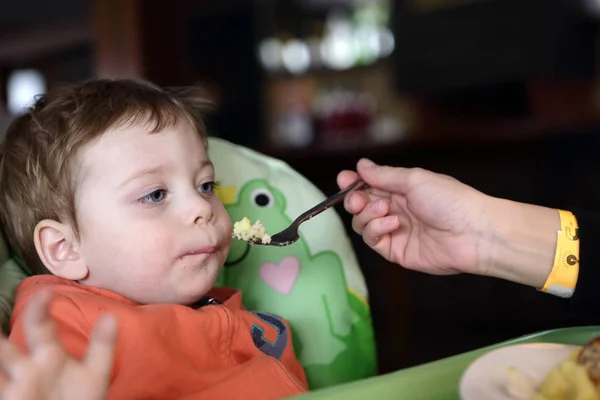 Mutter füttert ihren Sohn Omelett — Stockfoto