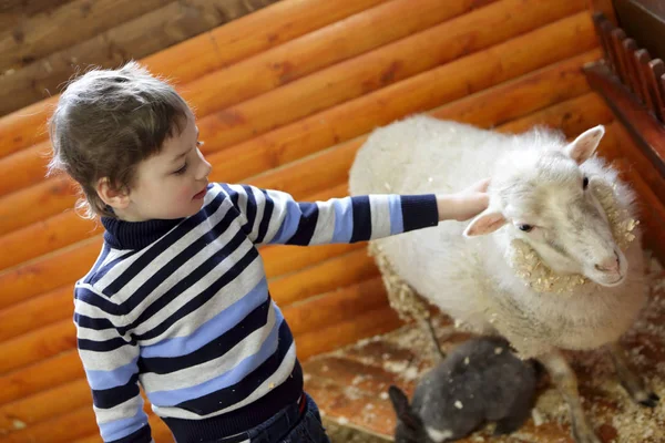 Enfant jouant avec l'agneau — Photo