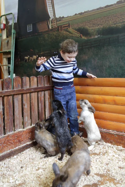 Enfant avec lapins — Photo