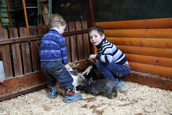 Dzieci bawiące się z królików — Zdjęcie stockowe