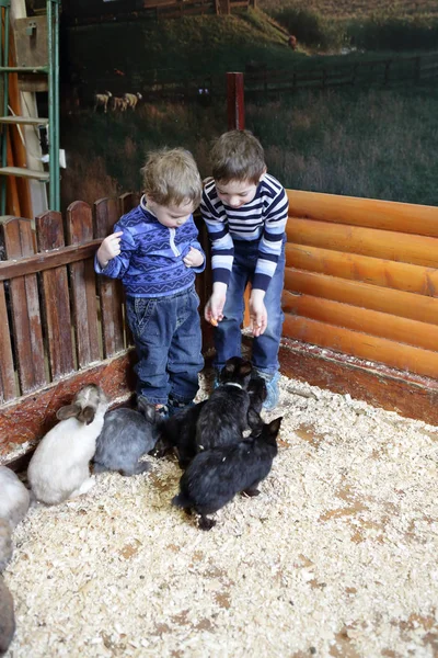 Niños con conejos — Foto de Stock