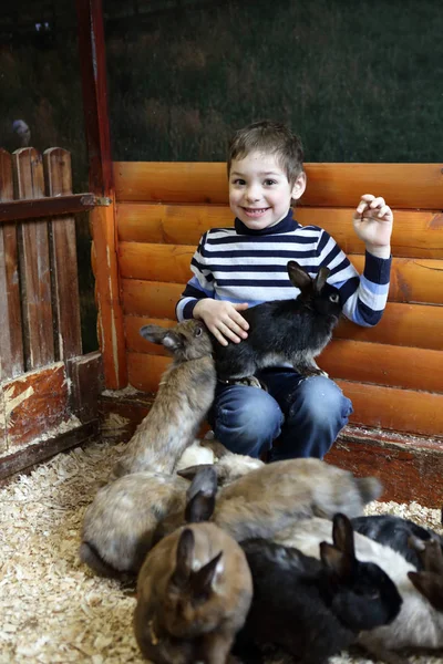 Enfant jouant avec des lapins — Photo