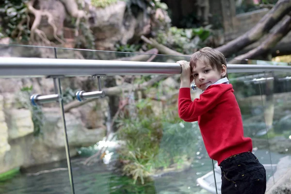 Boy di kebun binatang — Stok Foto