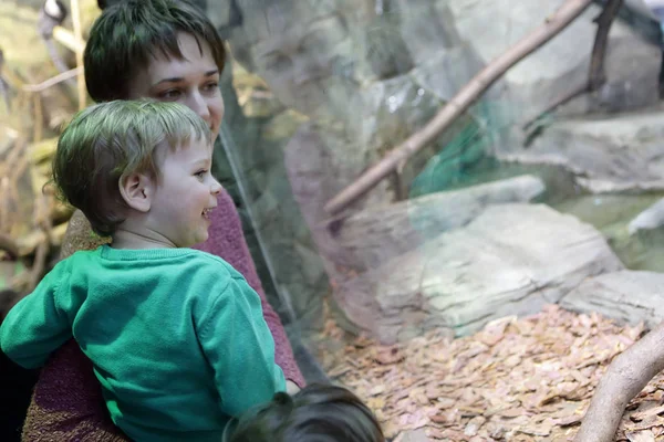 Mãe com filho no zoológico — Fotografia de Stock
