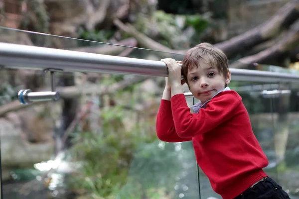 Enfant dans le zoo — Photo