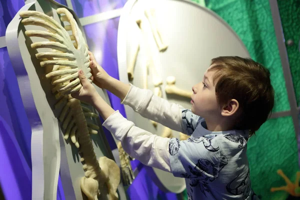 Criança estudando anatomia humana — Fotografia de Stock