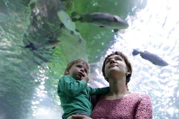 Madre con hijo mirando a los peces — Foto de Stock