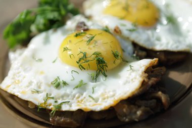 plaka üzerinde sahanda yumurta