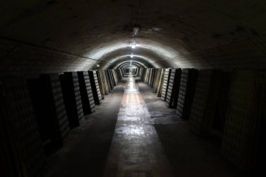 köpüklü şarap şişeleri