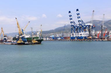 novorossiysk liman