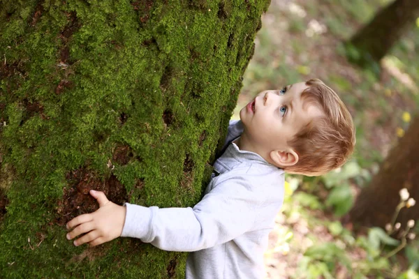 Gyermek átölelve fa — Stock Fotó