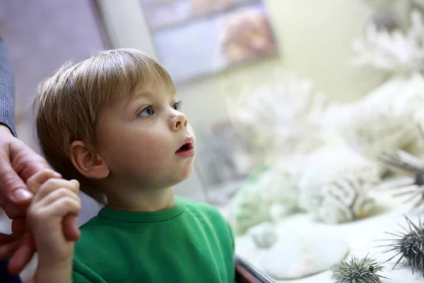 Curiosity kid in museum — Stock Photo, Image