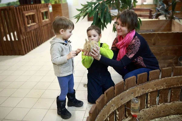 Mother with sons playing with rabbit — Stock Photo, Image