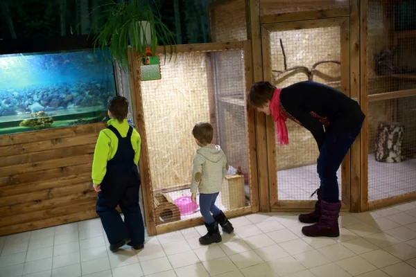 Mamma med söner i zoo — Stockfoto