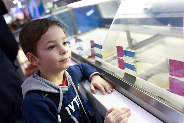 Niño eligiendo helado — Foto de Stock