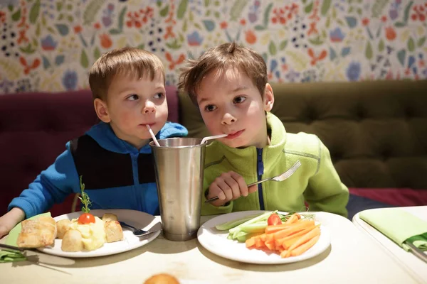 Hermanos bebiendo batido — Foto de Stock