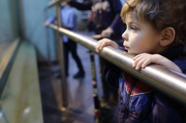 Hayvanat bahçesinde evlat