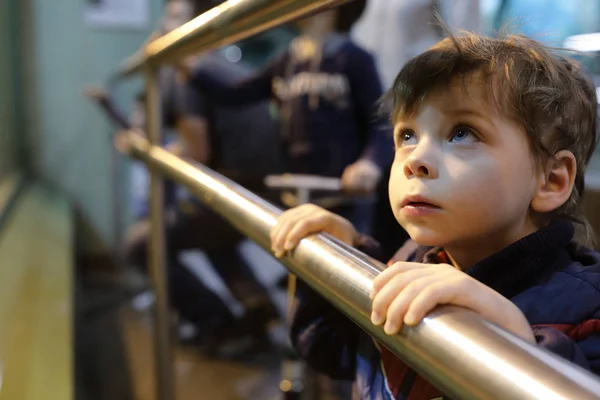 Niño en el zoológico — Foto de Stock