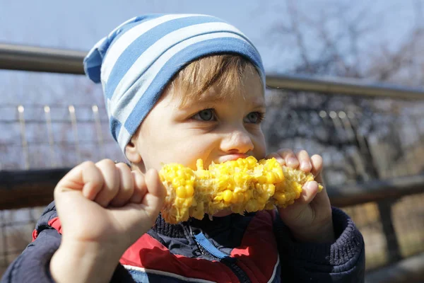 Niño tiene maíz — Foto de Stock