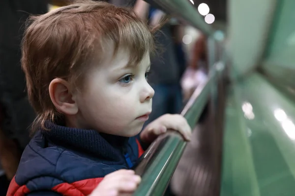 Bambino curioso allo zoo — Foto Stock