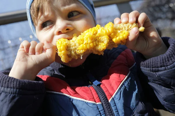 Niño comiendo maíz — Foto de Stock