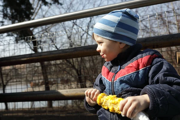 Dziecko ma kukurydzy — Zdjęcie stockowe