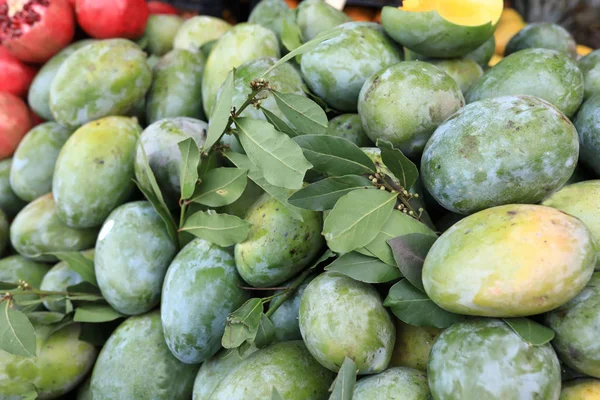 Daun mangga dan teluk — Stok Foto