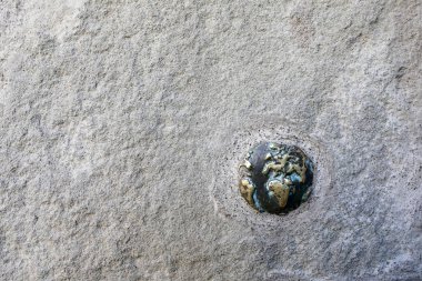 Beton duvardaki dünya küresi