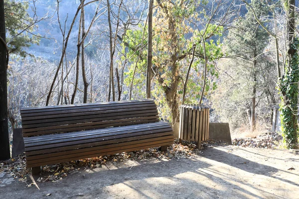 View of wooden bench — 스톡 사진