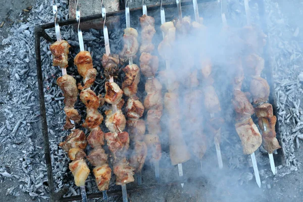 Cocinar Carne Cerdo Carbón Patio Trasero — Foto de Stock