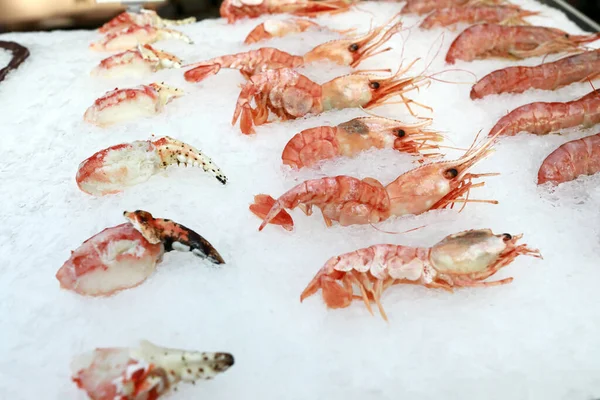 Crevettes Sur Comptoir Glace Dans Magasin — Photo