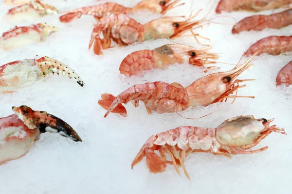 Camarones Mostrador Nevado Una Tienda —  Fotos de Stock