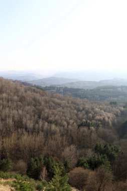 Rusya 'da baharda Kislovodsk Parkı manzarası