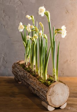 tencerede bahar çiçekleri