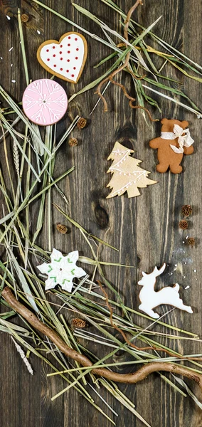 Biscotti di pan di zenzero di Natale — Foto Stock